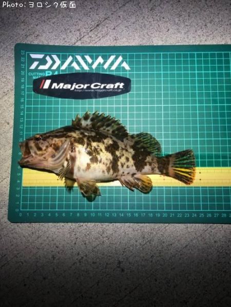 �����Υ���Х�