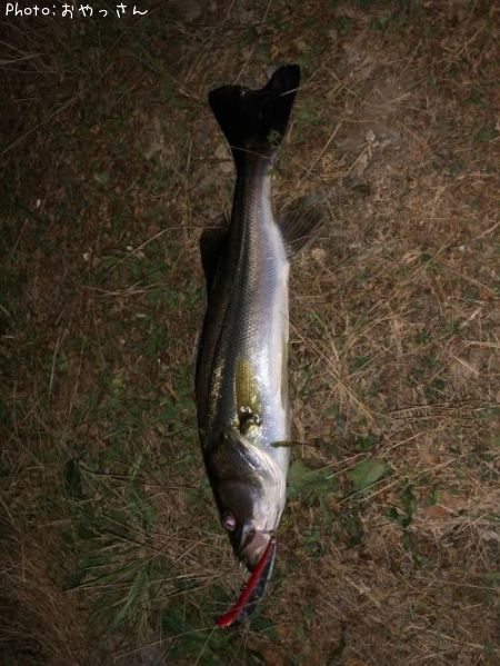 �����Х�