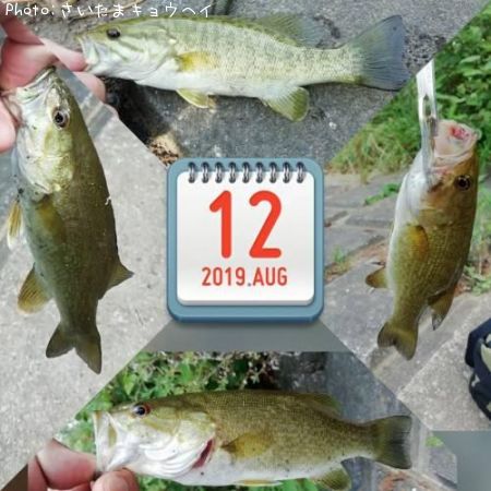 �֥�å��Х�