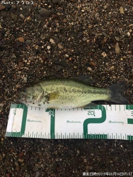 �顼���ޥ����Х�