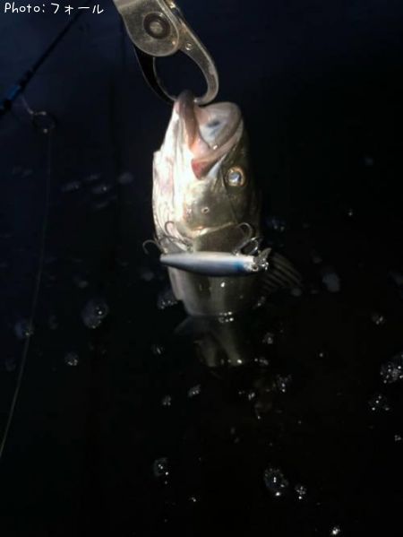 �����Х�