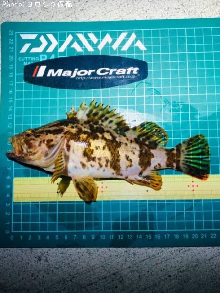 �����Υ���Х�