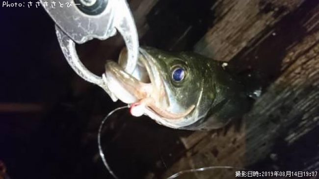 �����Х�