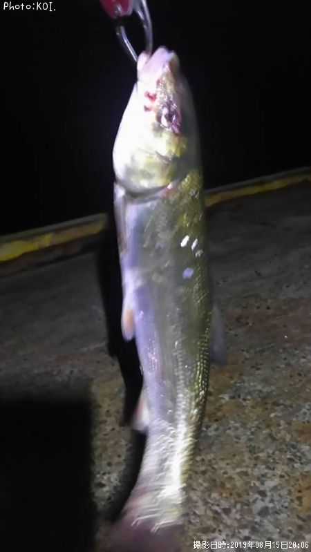 �ޥ륿������