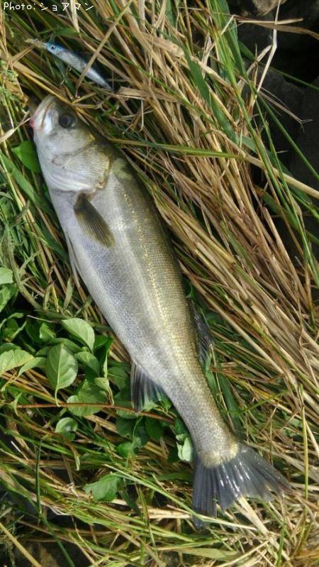 �����Х�