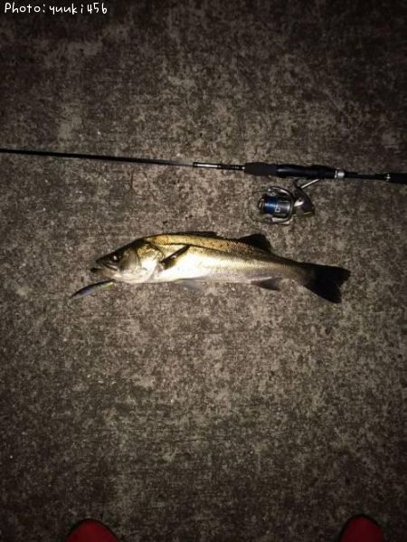 �����Х�