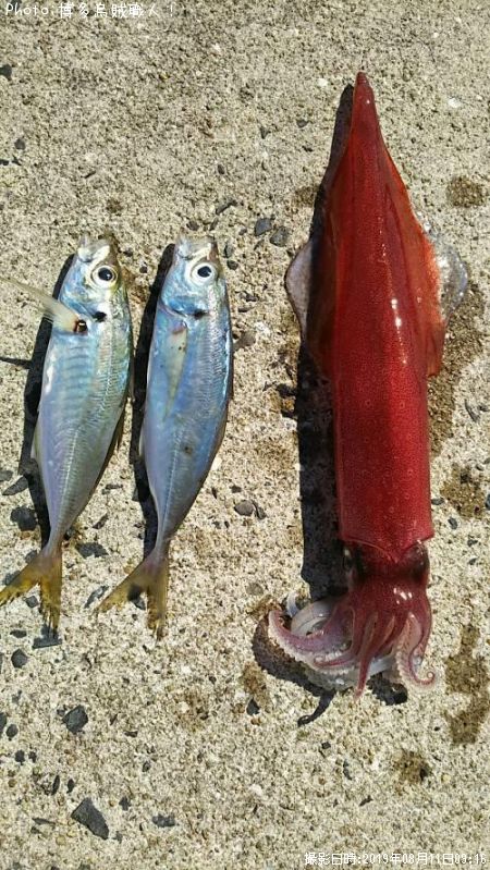 ���󥵥�����������