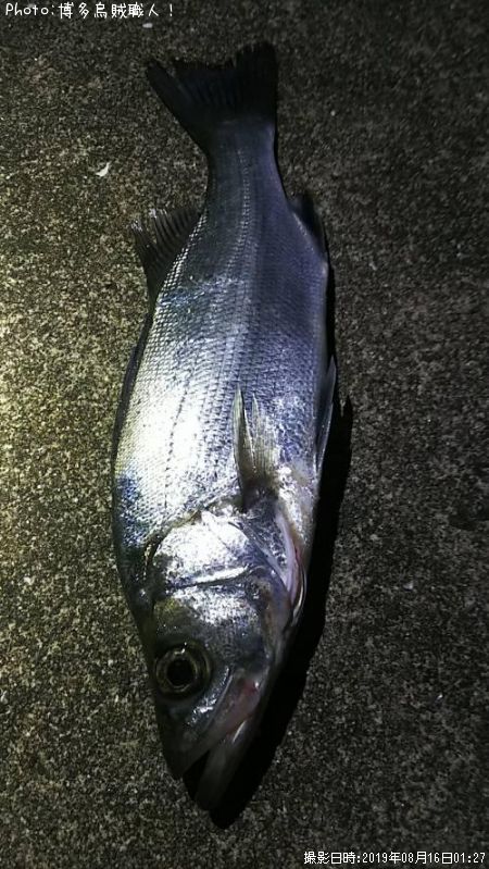 �ҥ饻����