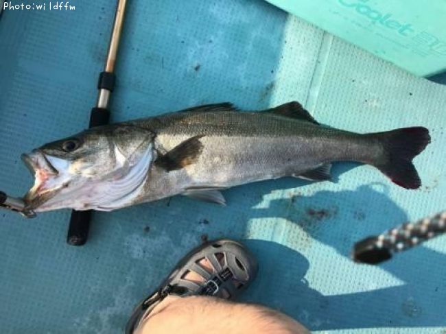 �����Х�