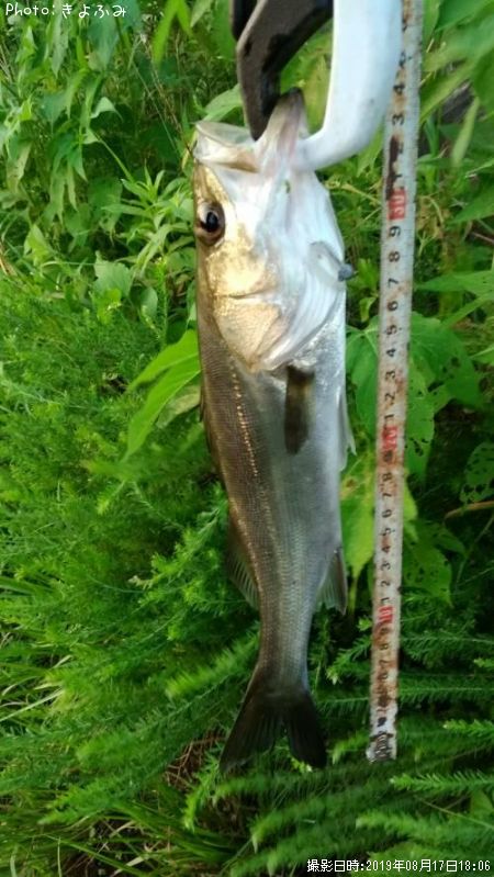 �����Х�