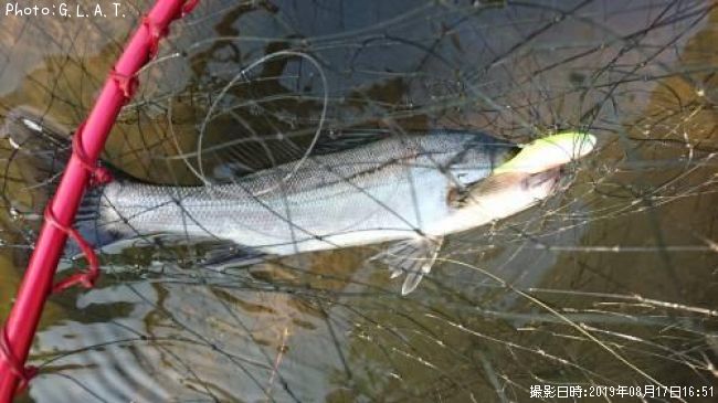 �����Х�