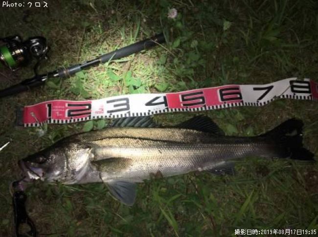 �����Х�