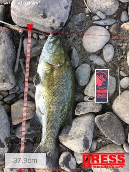 �֥�å��Х�