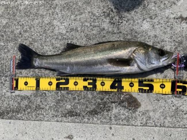 �����Х�