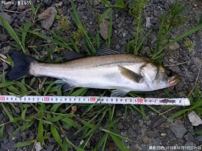 �����Х�