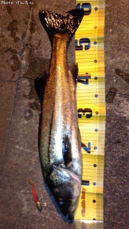 �����Х�