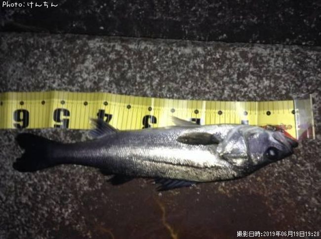 �����Х�