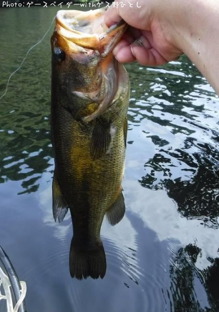 �֥�å��Х�