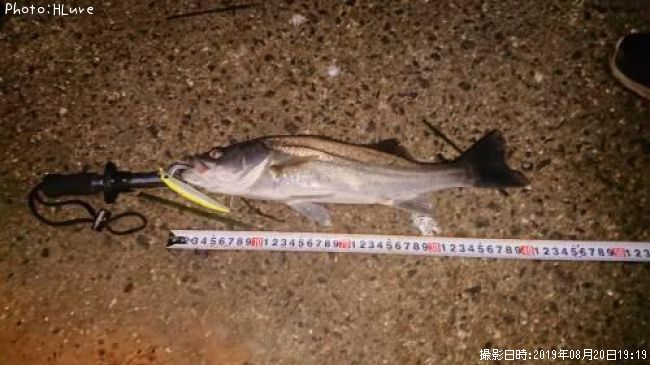 �����Х�