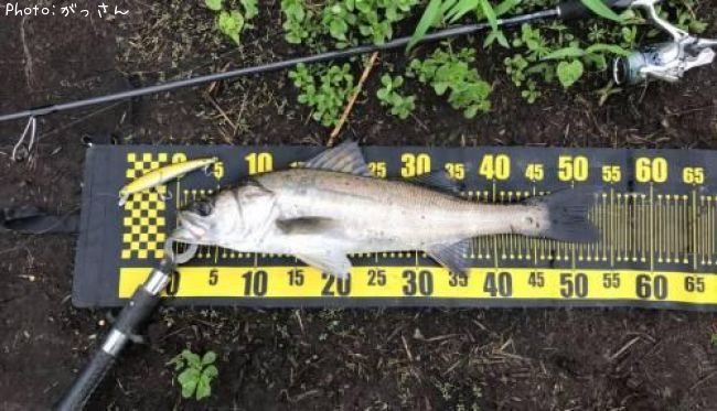 �����Х�