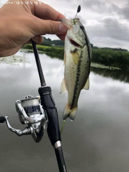 �֥�å��Х�