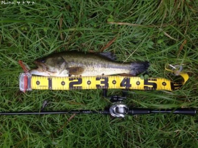 �֥�å��Х�