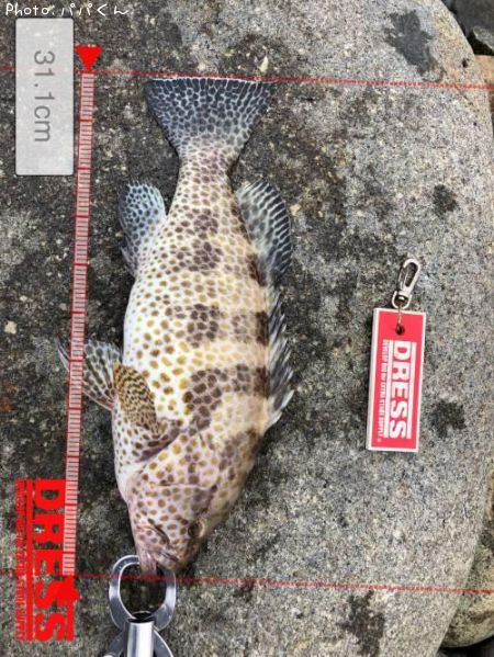 �������ϥ�