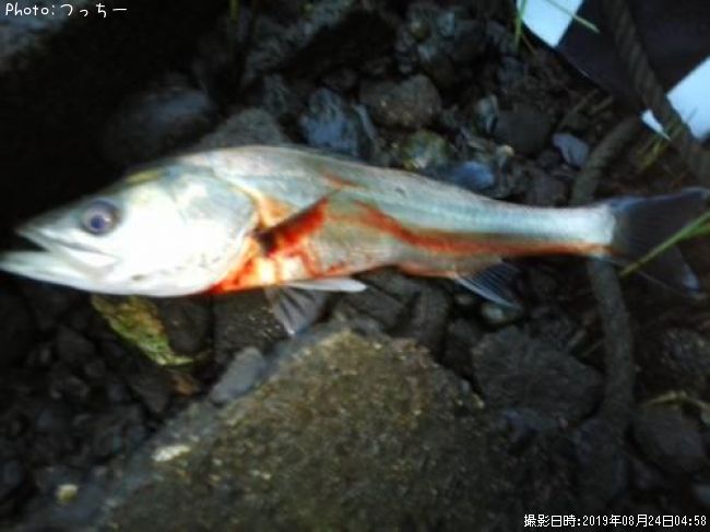 �����Х�