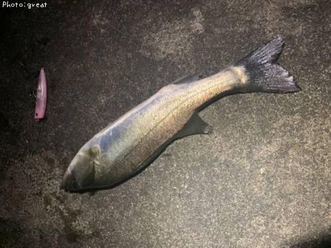 �����Х�