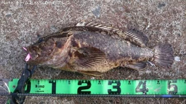 �����Υ���Х�