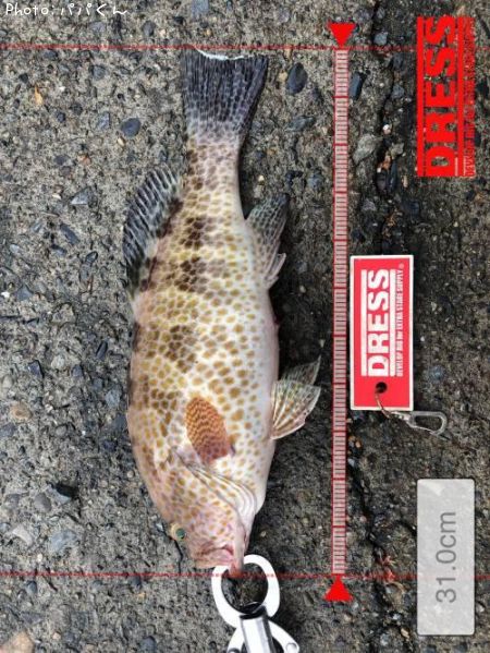 �������ϥ�