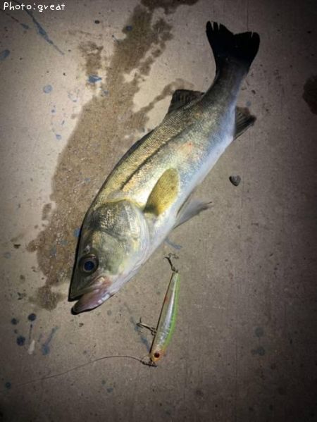 �����Х�