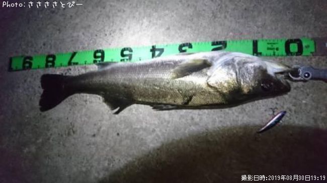 �����Х�