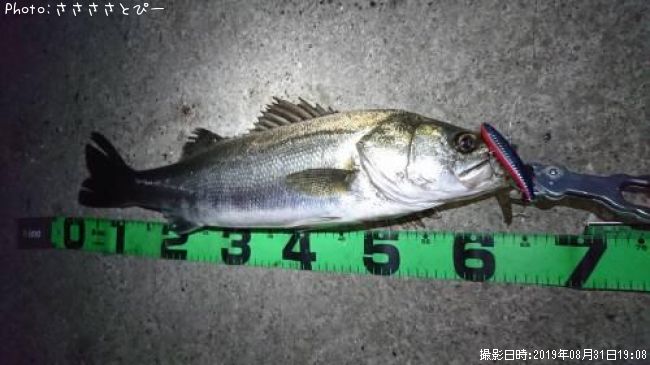 �����Х�