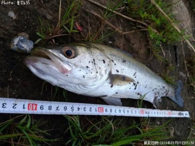 �����Х�