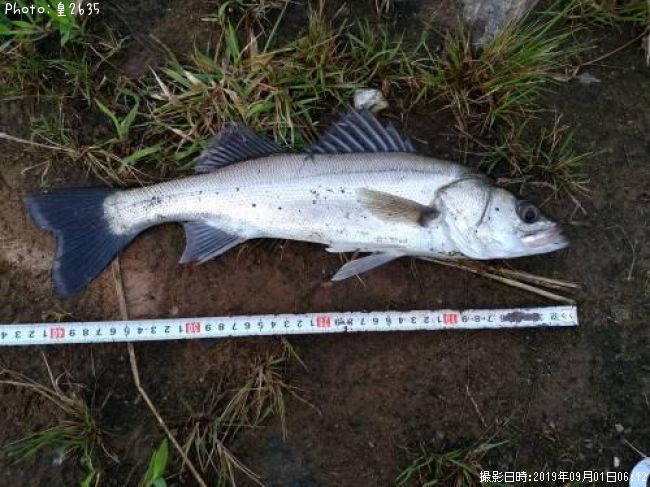 �����Х�