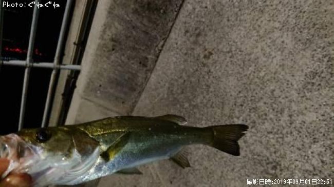 �����Х�