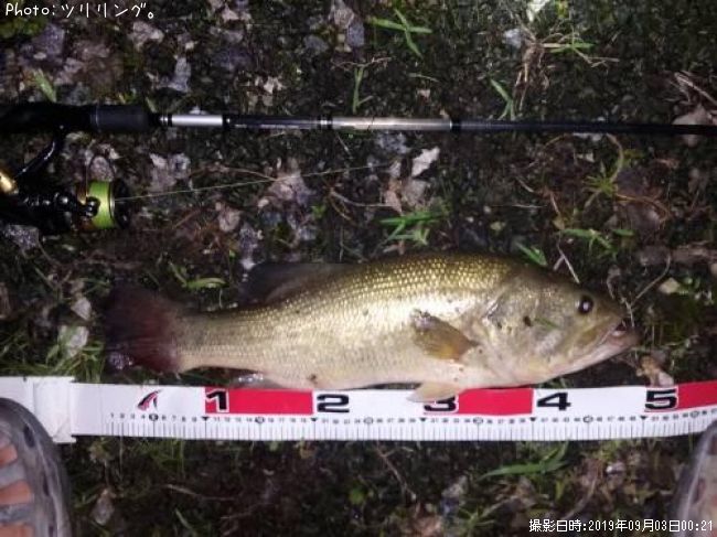 �֥�å��Х�