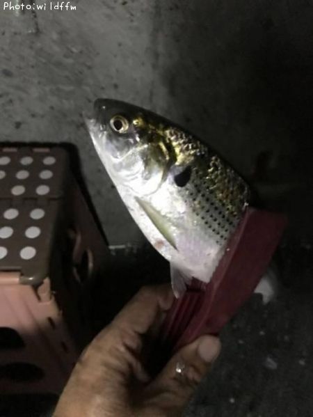 ���Υ���