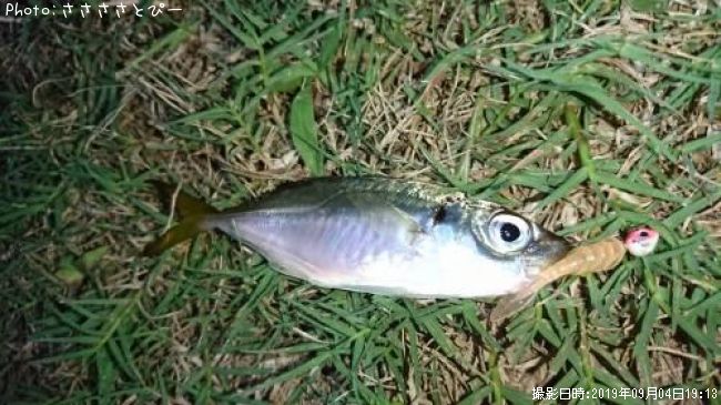 �����������Х�