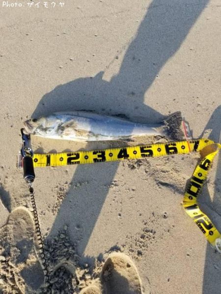 �����Х�