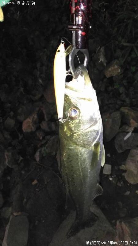 �����Х�