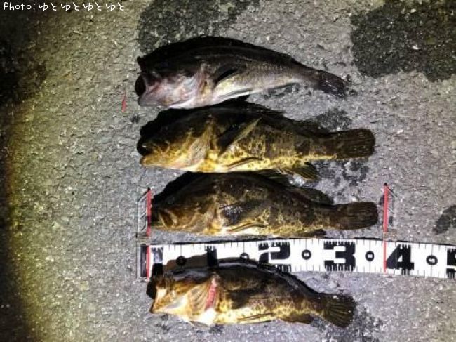 �����Υ���Х�