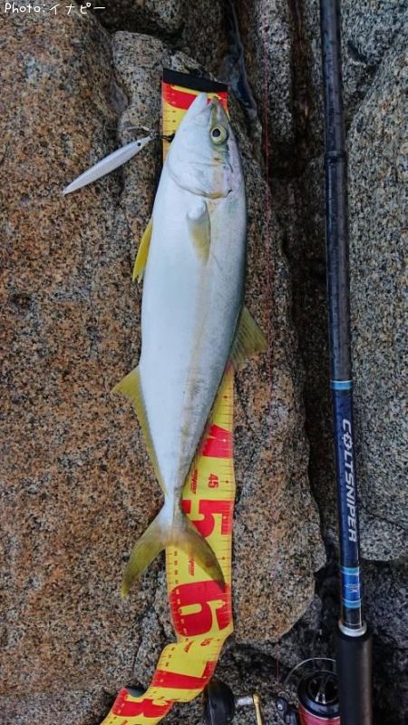 ʿ���ʥҥ饴��