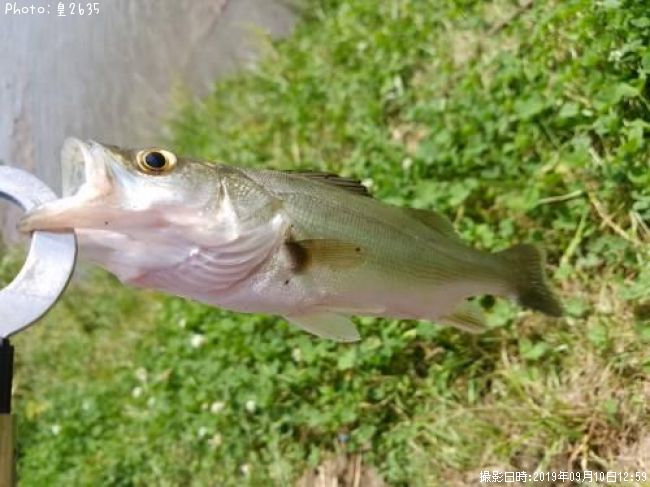 �����Х�