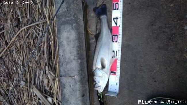 �����Х�