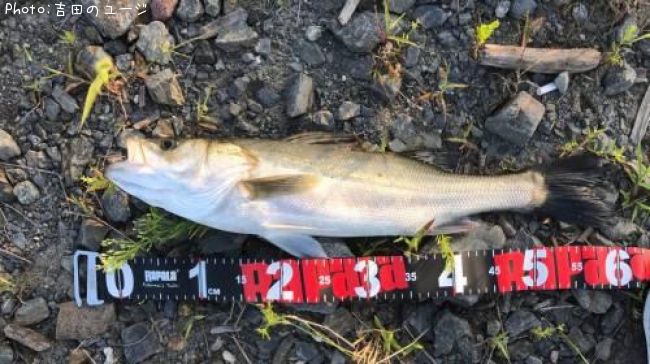 �����Х�