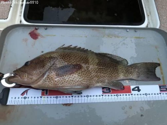 �������ϥ�