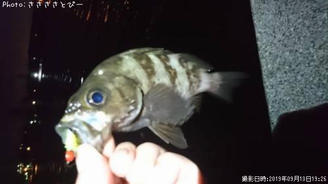 ��Х����饽��������