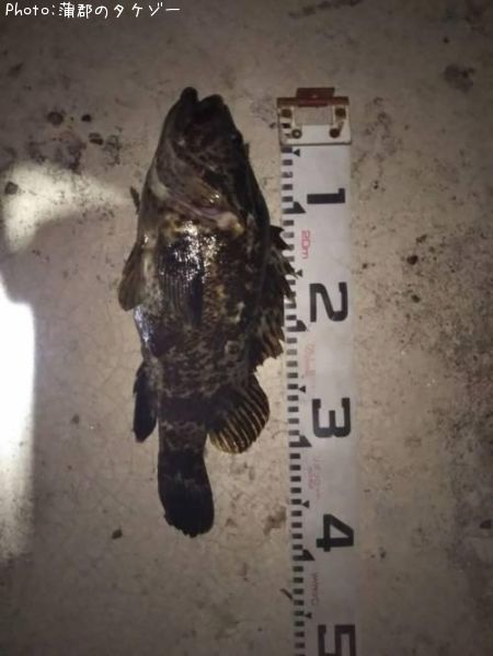 �����Υ���Х�